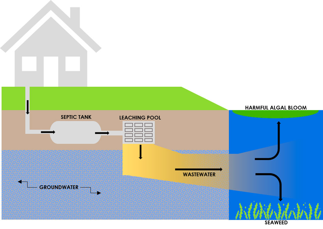 Restore our Bays: Applying Innovative Advanced Nitrogen Reducing ...