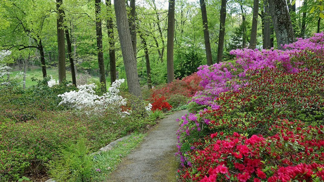 Arboretum Photocredit: Pixabay.com