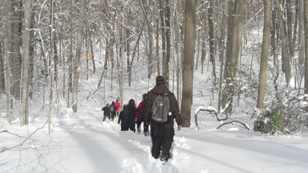 Winter Nature Walk