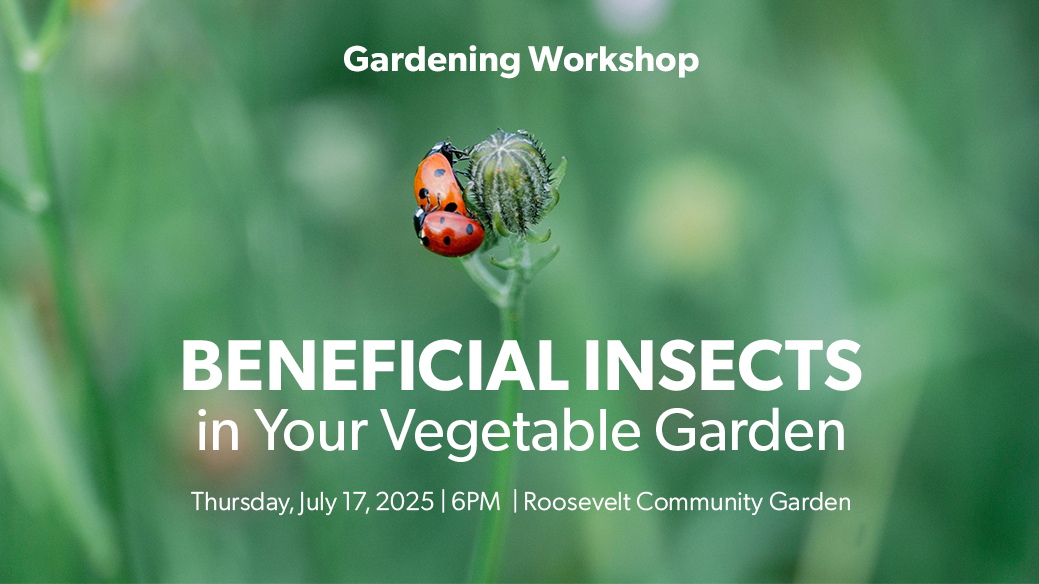 Gardening Workshop Beneficial Insects in Your vegetable Garden