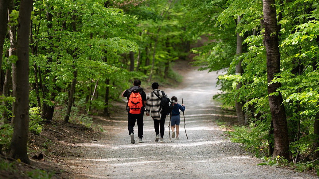 Young Explorers & Family Nature Walk