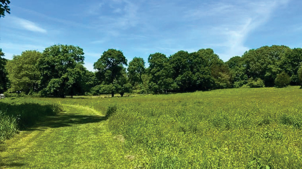 New York State Open Space Plan